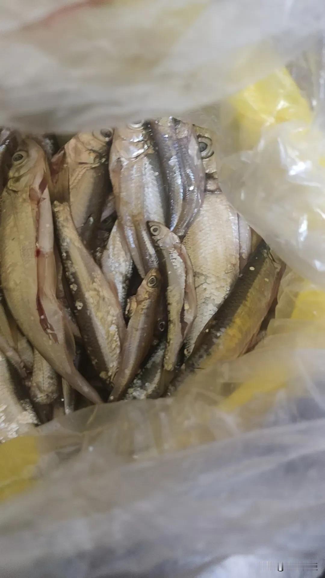 油炸出来的鱼干很香。人生啊如同炸鱼。油炸鱼之前需腌制三四小时才能入味，正如人生要