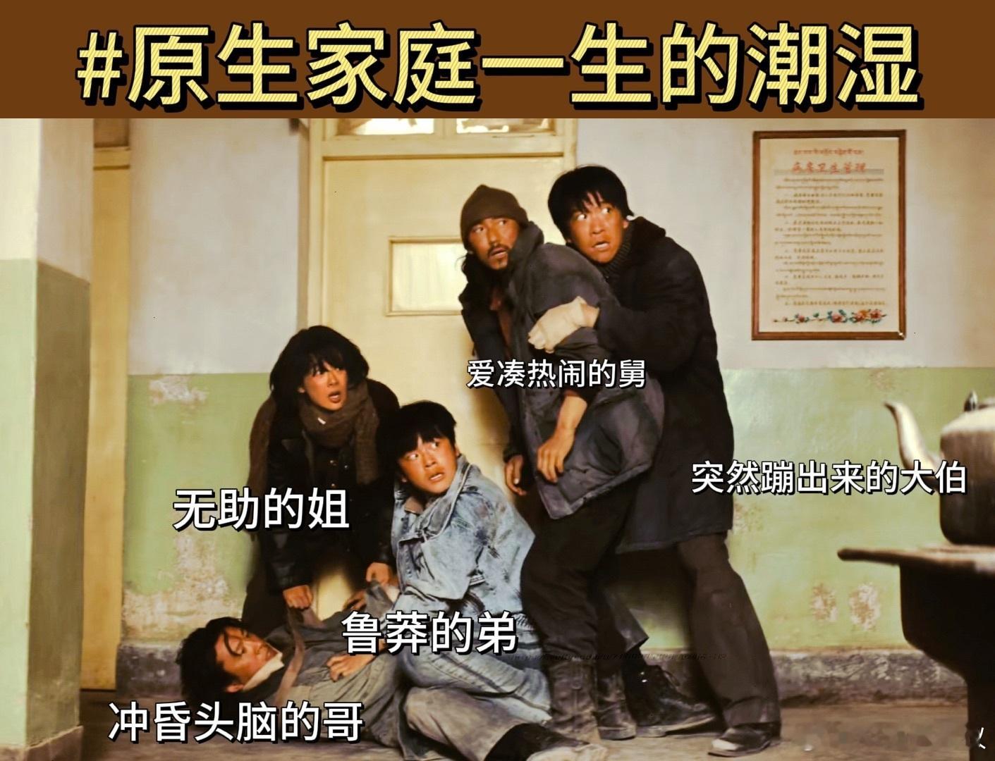 电视剧生命树真是乱成一锅粥了 