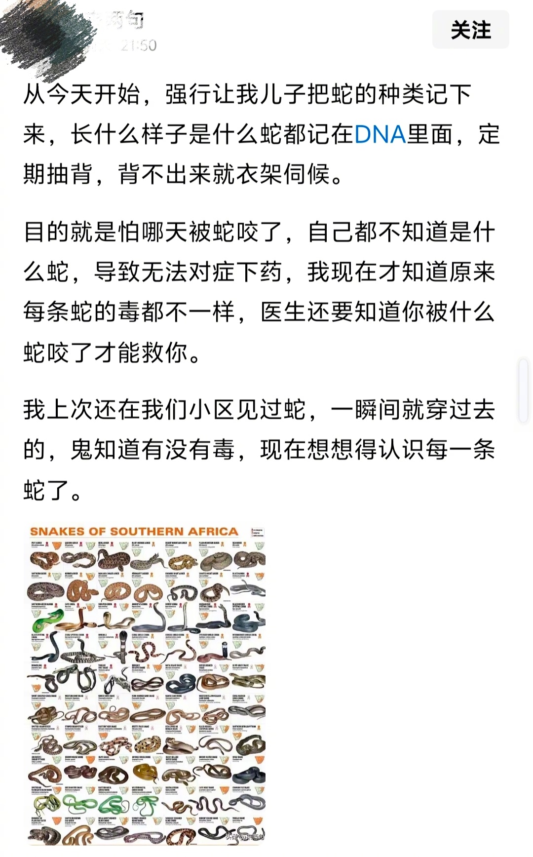 背诵、记忆这么多蛇名，蛇状，一辈子可能蛇没遇到几条，心理反而搞出阴影了。一做梦，