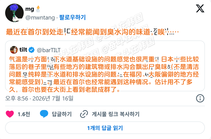 韩网友：最近在首尔到处走，经常能闻到臭水沟的味道，唉…… 海外新鲜事 热点现场