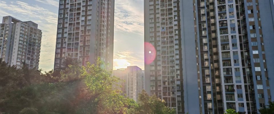 久违了，阳光 