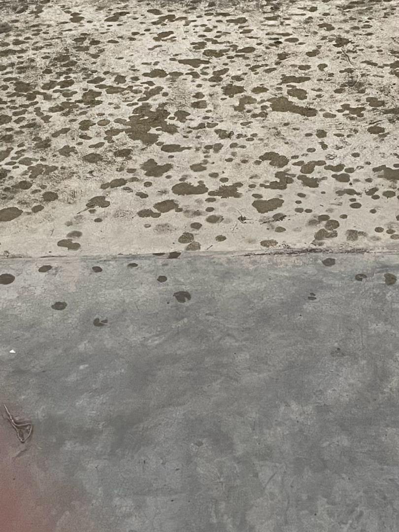每次一到夏天的时候最喜欢的就是下雨了，每次乌云密布然后就会像图里一样开始给闷热的