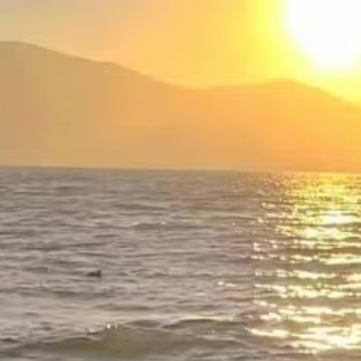 阳光信用 🌿阳光信用 🌿每日一善 人生不只有诗与远方，还有眼前的苟且，感受现