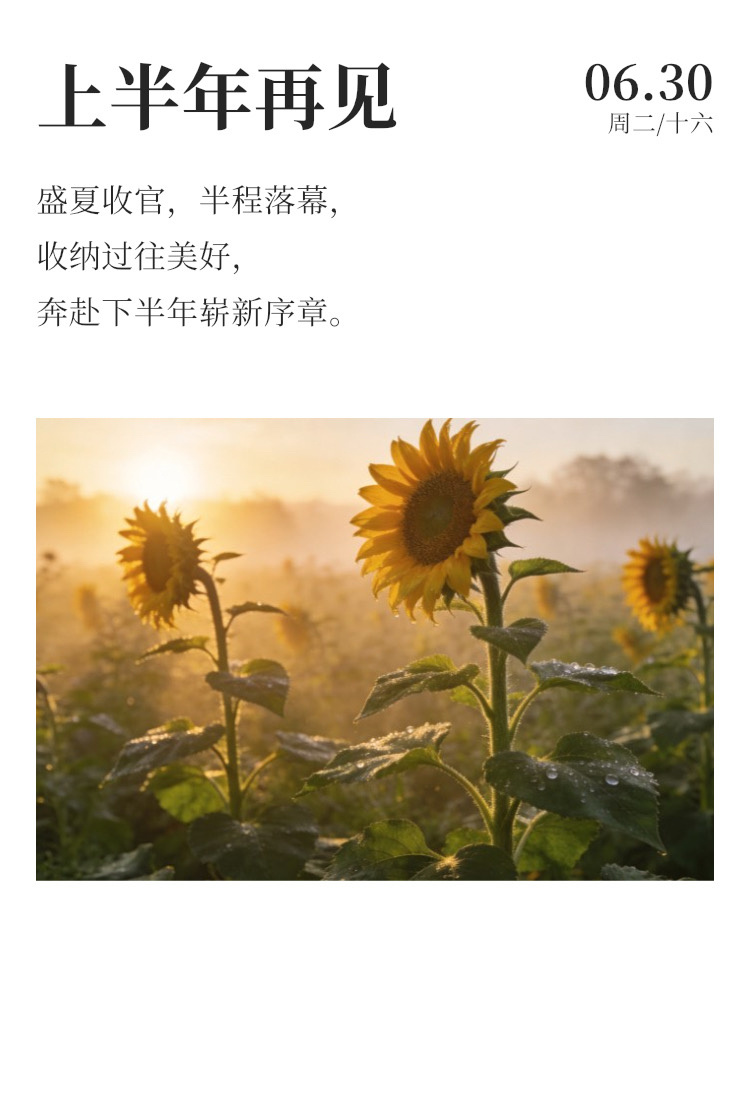 早安 🌧️每日早起打卡 时间如白驹过隙，岁月如大浪淘沙。上半年再见了，过往清零