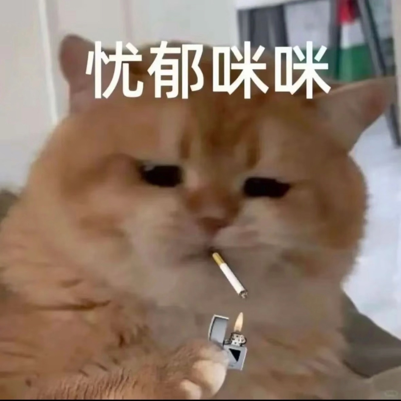 短剧 按摩大脑文青至暗时刻来了…文青：最近在看贾樟柯贾樟柯：最近在看红果 