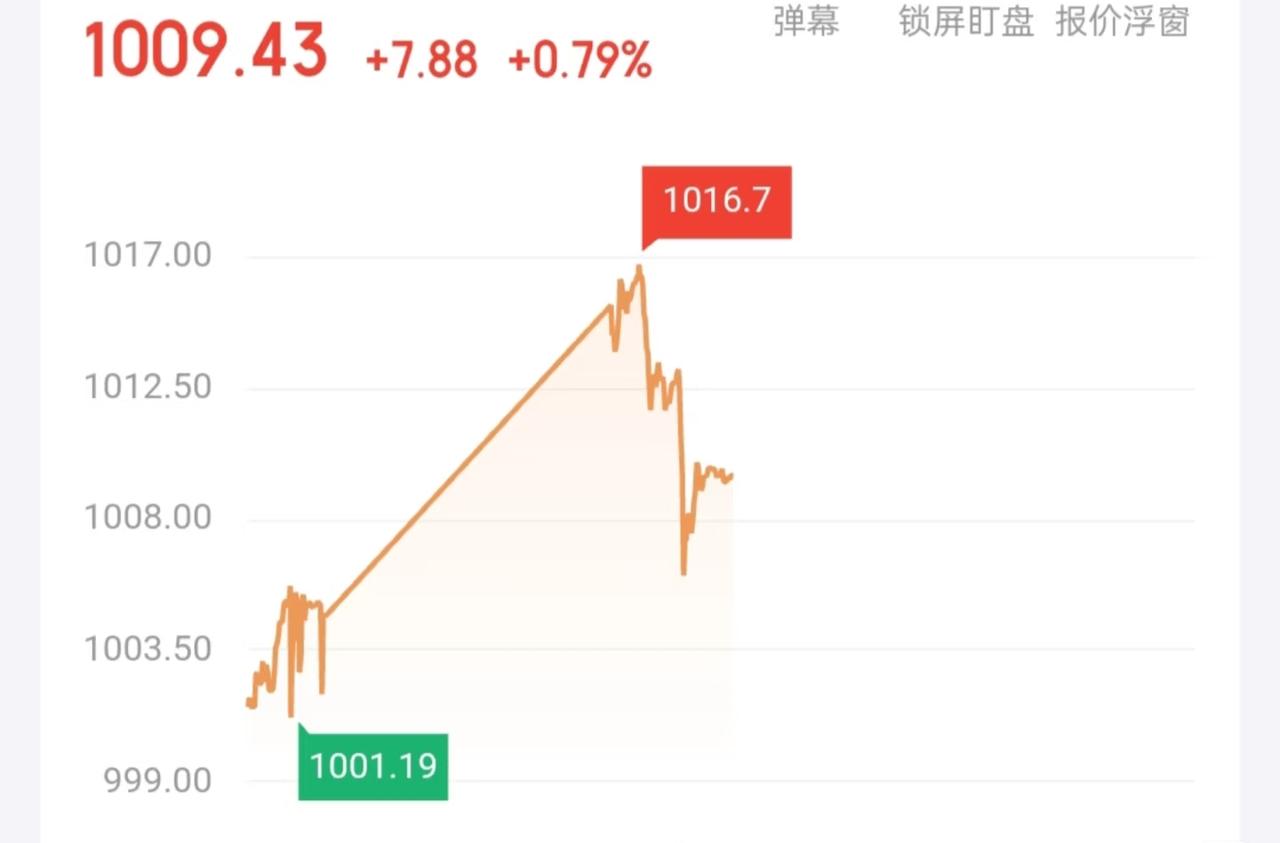 打开行情图，有色金属相关指数一天内从1001.19冲到1016.7，最后落在10