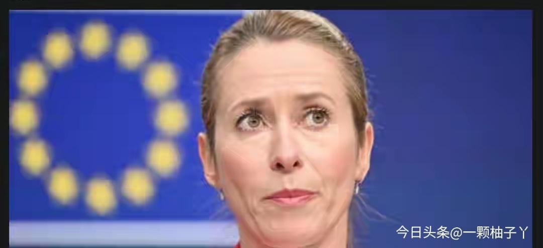 俄罗斯政坛“嘴强王者”梅德韦杰夫又上线了，这次直接火力全开怒怼欧盟外长卡拉斯。这