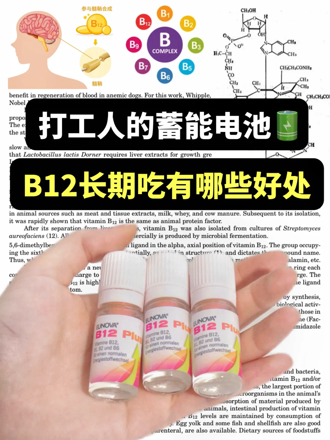 打工人的蓄能电池🔋B12长期吃有哪些好处️