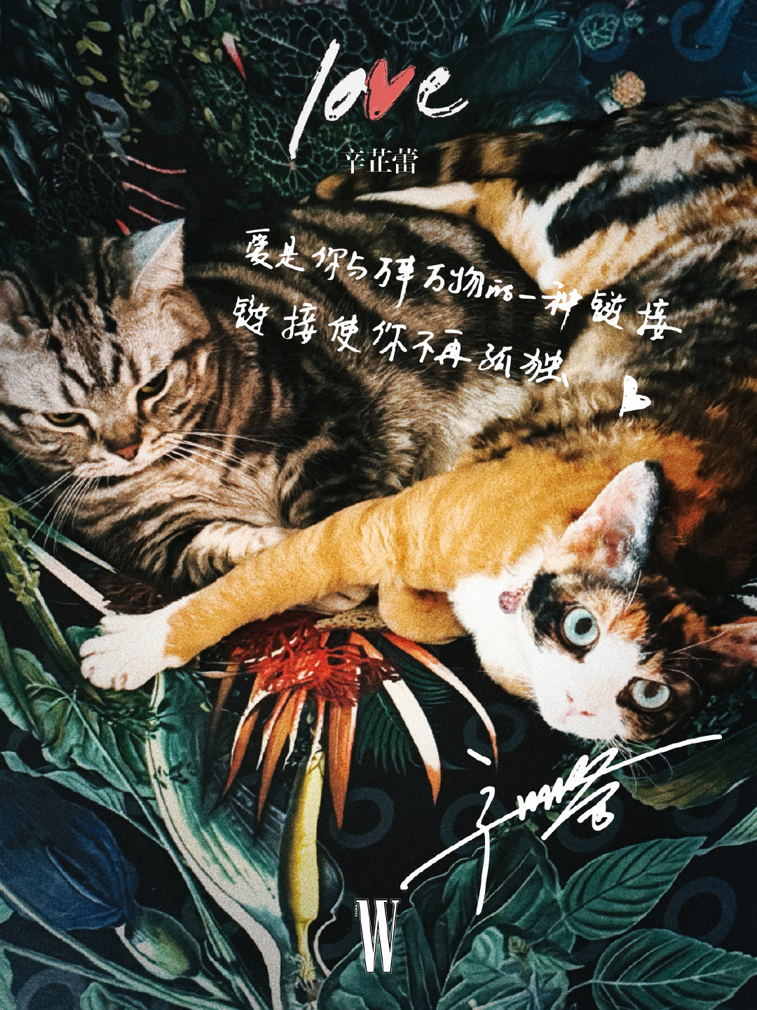 封面预告｜辛芷蕾 × W China The Love Issue 2026辛芷