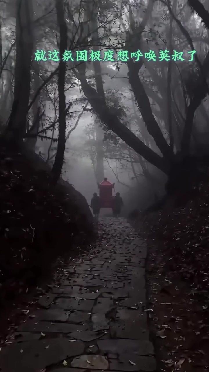 云南
哀牢山
治愈系旅行