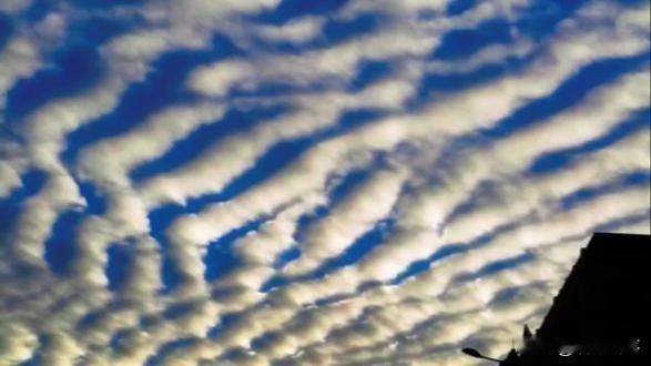 12月9日，一位来自上海的网友在社交媒体上分享了几张照片，并附言：“此类云彩的出