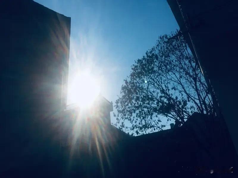 人在什么情况下才能大彻大悟人往往在历经重创、失去珍视之物，或是深陷绝境、尝尽冷暖