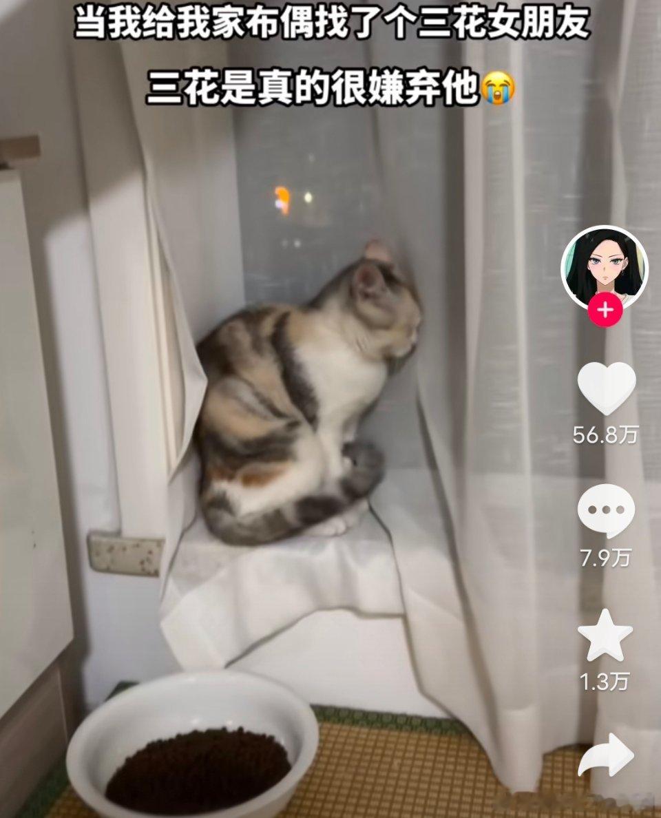 能不能放过猫？猫很独立，猫没有你们认为的那种性缘关系，请不要用你看艾威的大脑去画
