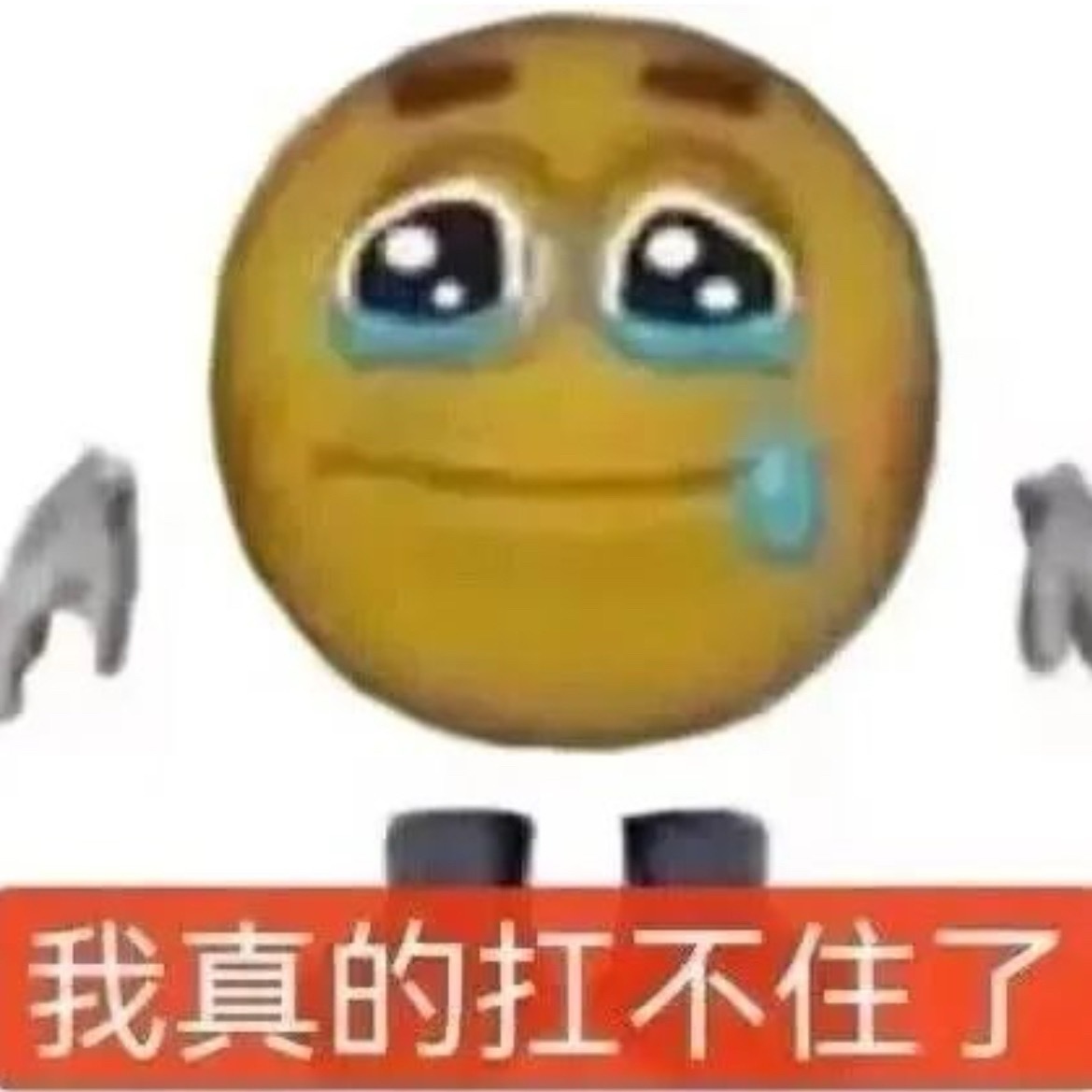 分享图片 