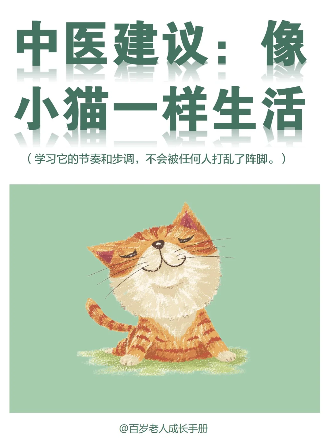 中医建议：像小猫一样生活🔥