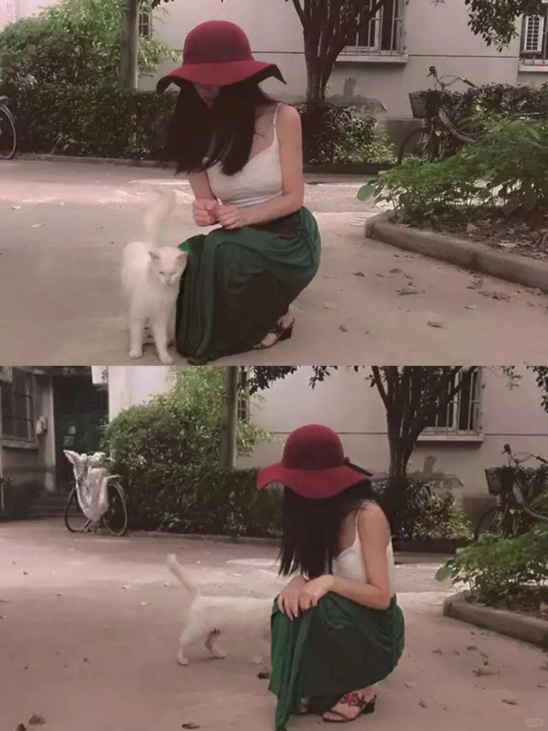女孩与猫🐈