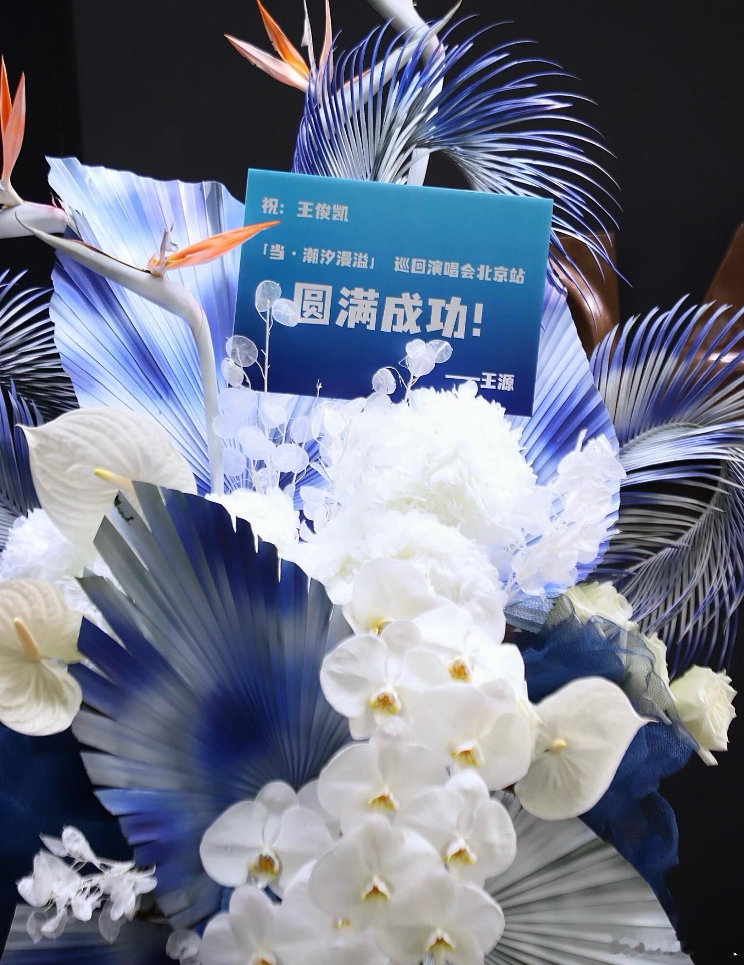 王源王俊凯重要时刻从不缺席王源给王俊凯演唱会送花王源送来鲜花花篮，为王俊凯的个人