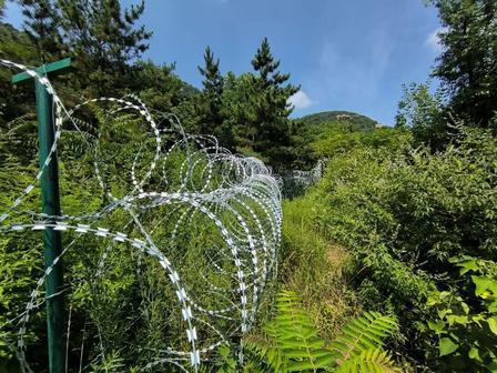 泰山景区那圈长达135公里的刀片刺绳隔离网，最近在网上彻底炸了锅。

大家除了心