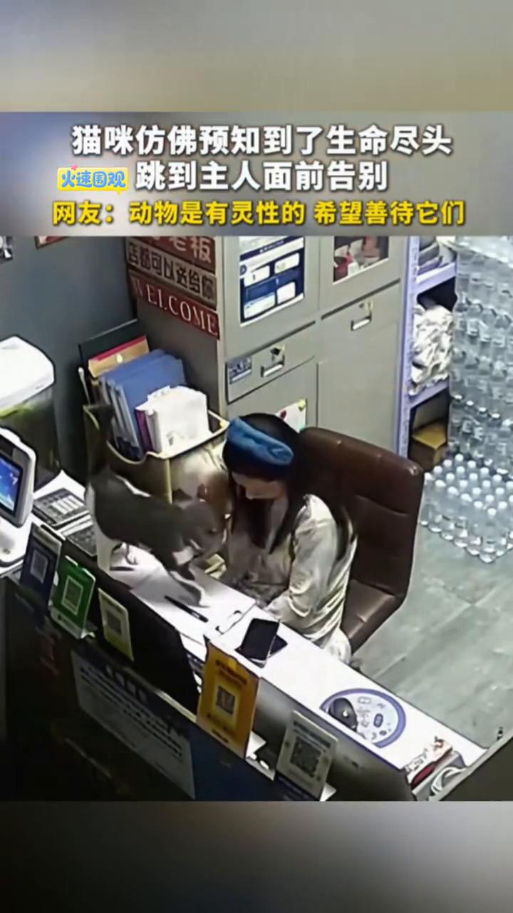 猫咪仿佛预知到了生命尽头，跳到主人面前告别。
唐先生。
网友：动物是有灵性的，希