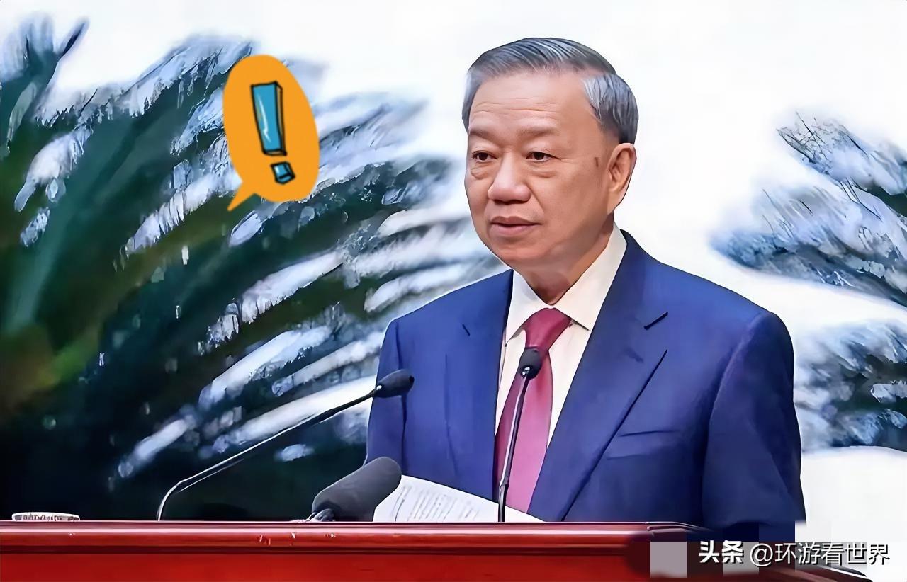 越南传来新消息！
2026年3月19日，越南正式向阿尔及利亚求助，希望确保石油和