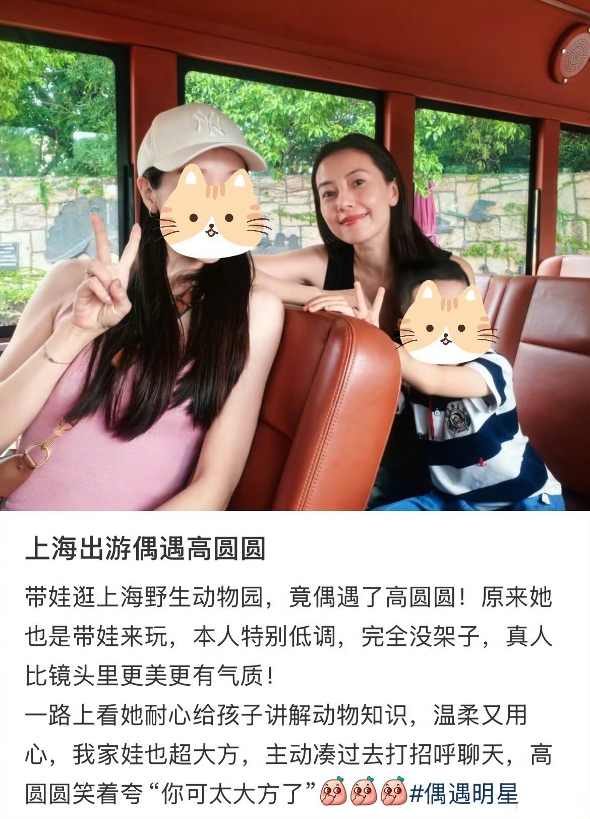 有网友在上海野生动物园偶遇高圆圆，这生图状态真好啊？[柯基][柯基][柯基] ​