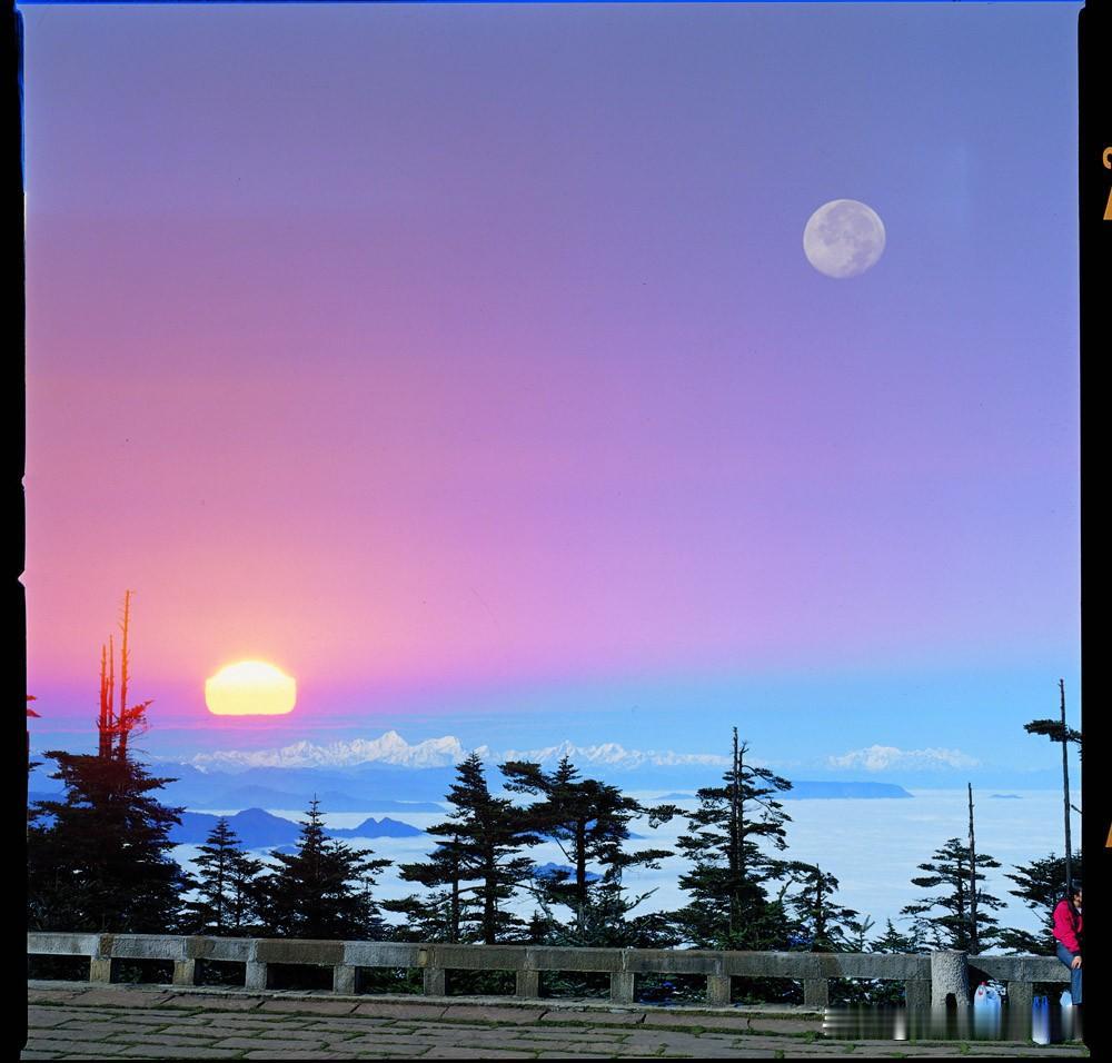 这个上联系从“人无横财不富，马无夜草不肥”的古谚语中化出，揭示了部分社会现实。我