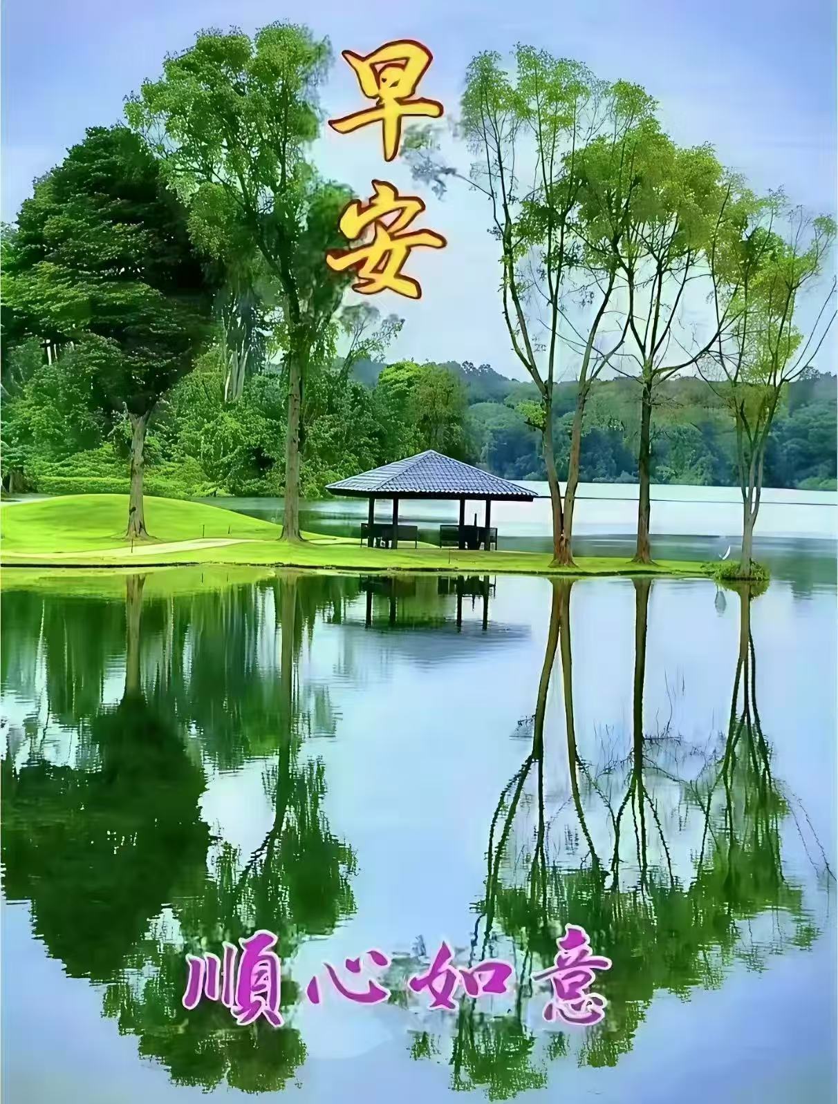 分享图片 