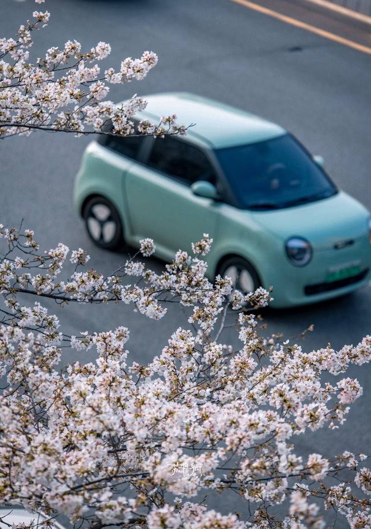 来武汉🌸怎么可以错过“武汉最美公交站”呢？📍珞瑜东路 大黄村公交站选乘一趟合