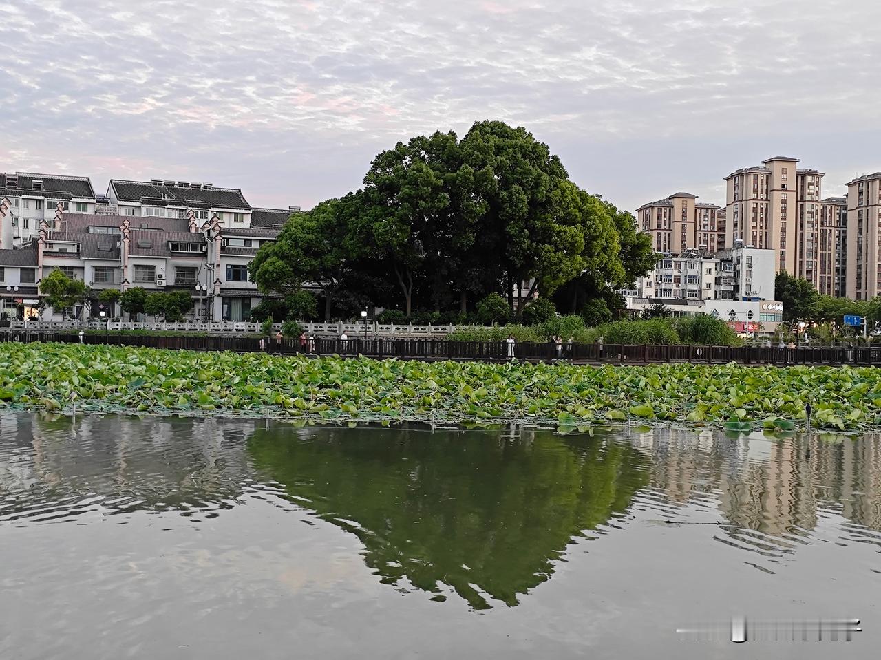 #秋日生活打卡记##记录我的9月生活#

北宋末年，风雪交加的冬日里，东京城外一