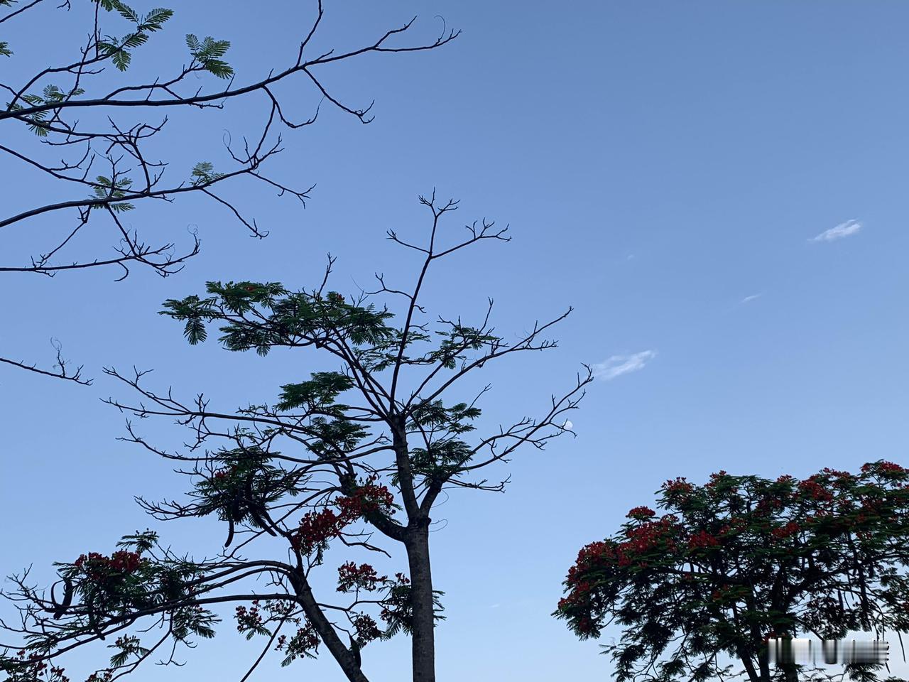 今天凉，有阳光，还不用做工。
早上起来本来是要去省图书馆看书的，谁知道刚出门，就