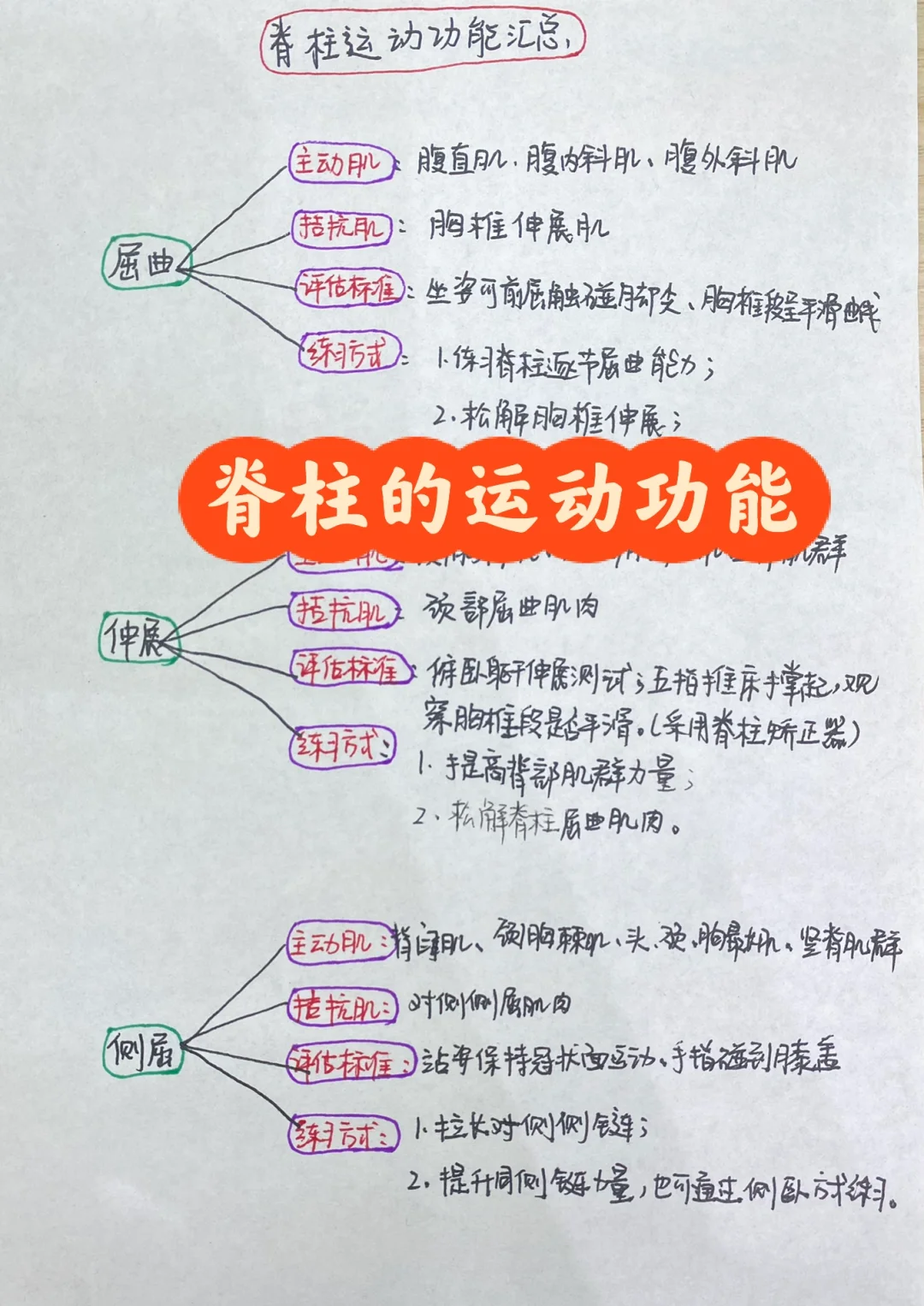 脊柱的运动功能汇总