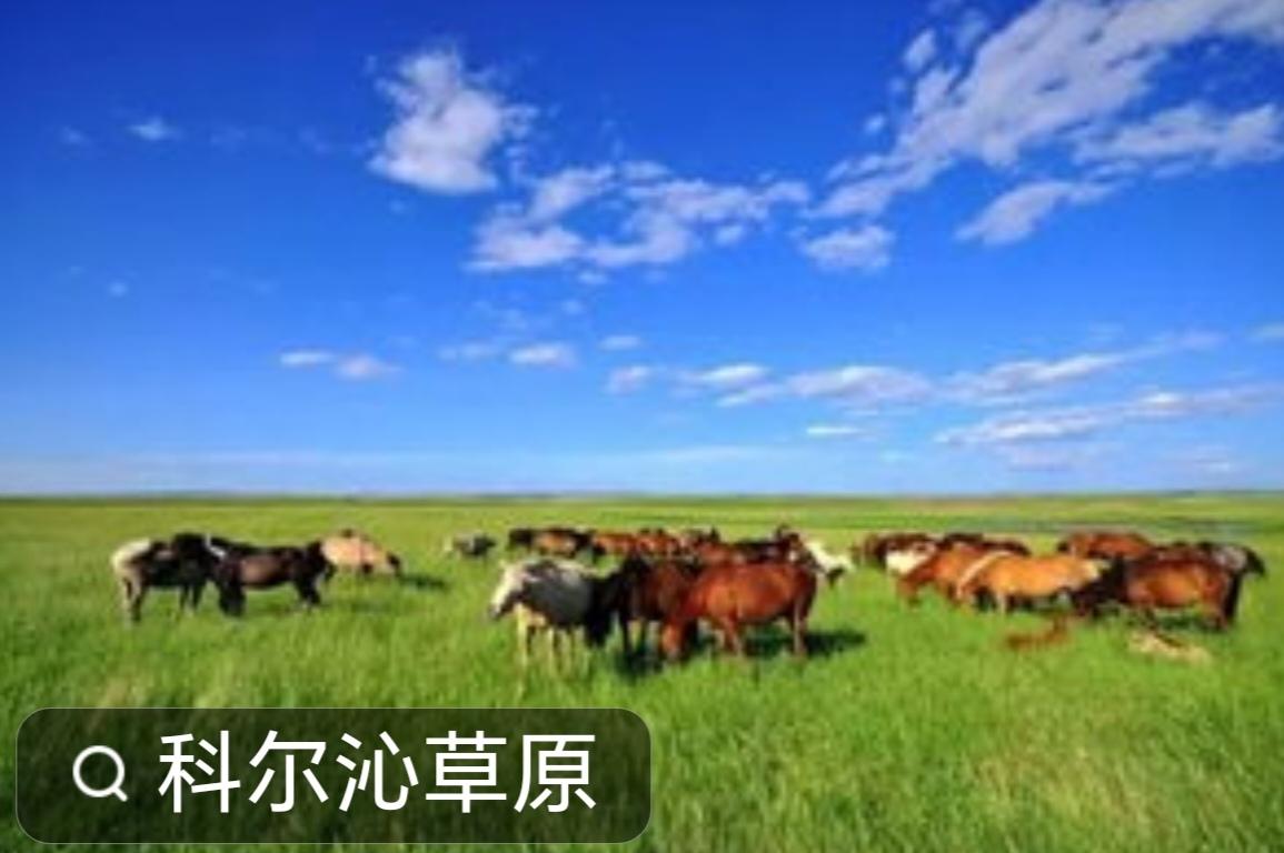《科尔沁草原一游观后感》
        走进科尔沁草原，我被这片辽阔天地深深打