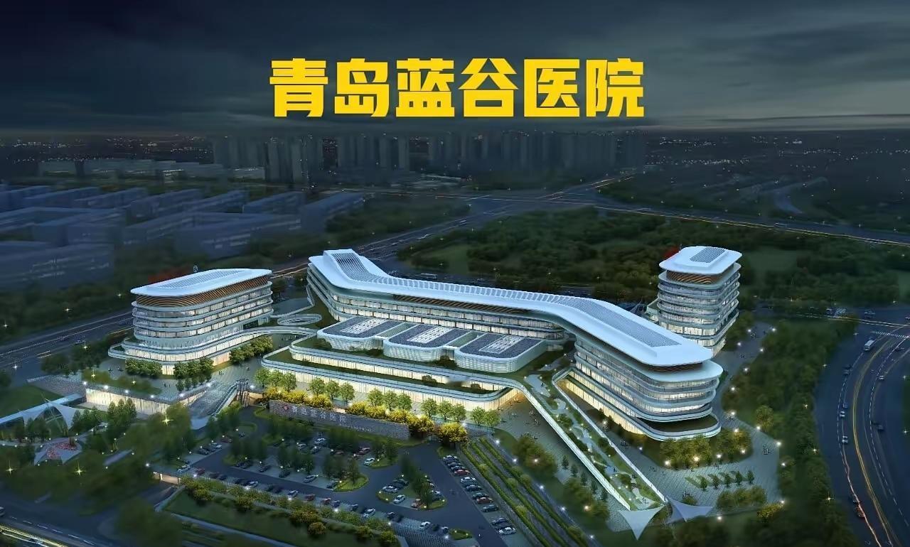 近日，青岛蓝谷山大齐鲁医院工地现场，施工单位平安建设和另一家施工单位起了争执！这