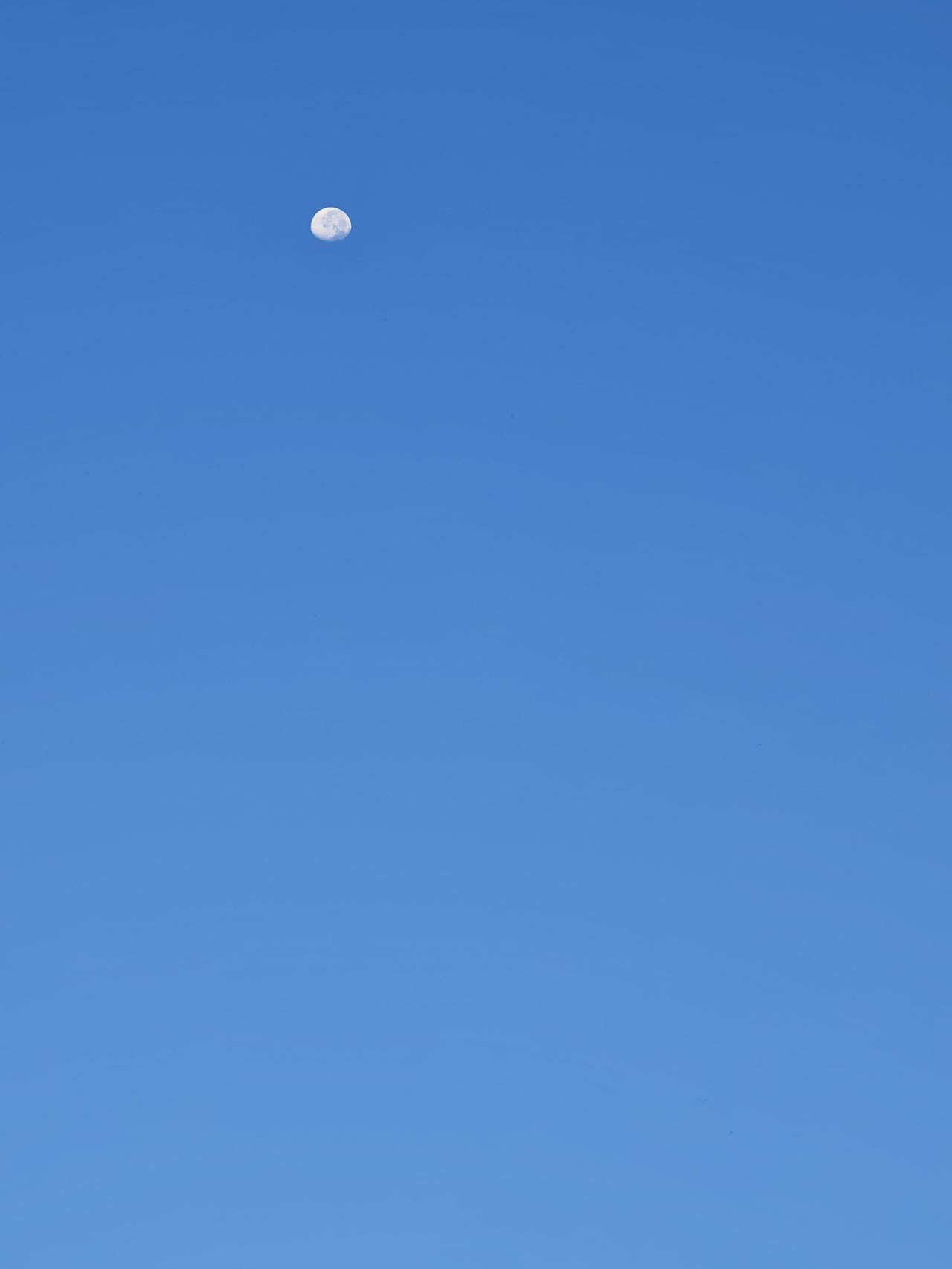 何无忌指着何澹之舰队豪华盛大的旗舰，对刘道规说：“龙骧将军何澹之一定不在这艘舰上