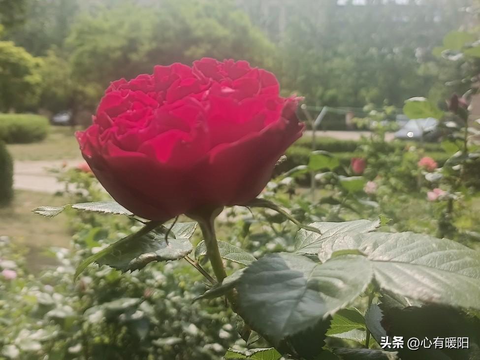 歇斯底里争吵、去找第三者对峙、到处抹黑他，看似出气，实则把自己拖进负面情绪里，浪