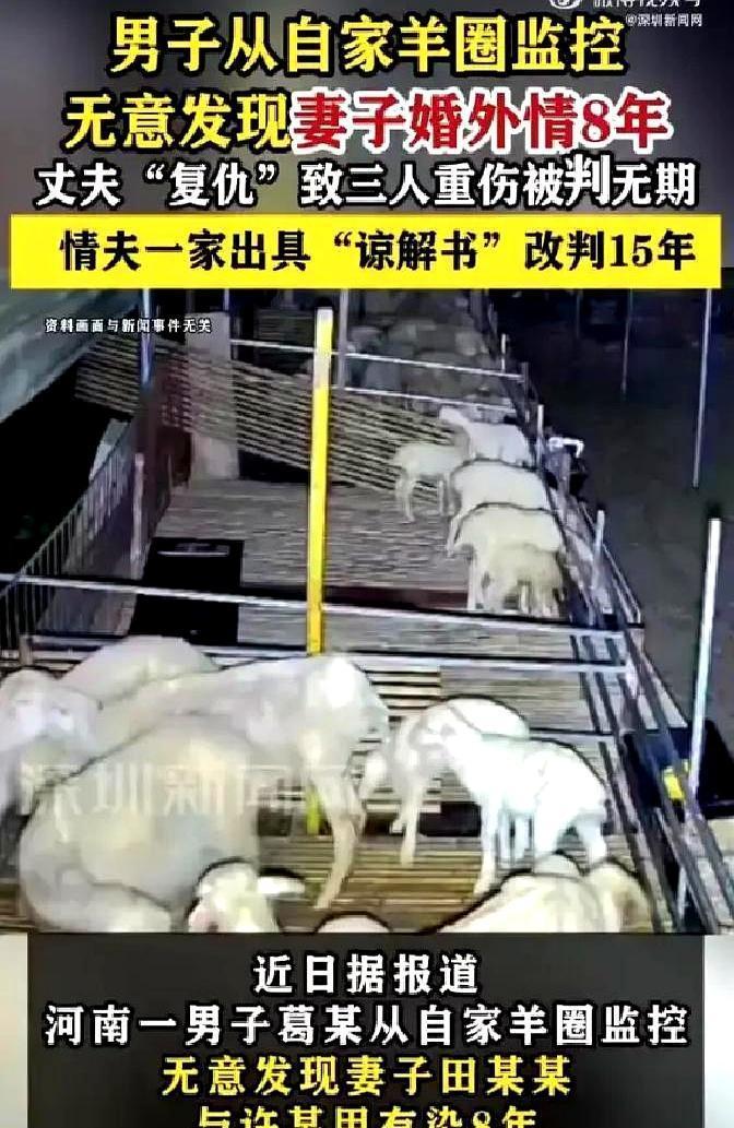 这事儿真让人唏嘘……半夜看监控发现媳妇跟老许腻在屋檐下，男人连夜赶回去，结果捅了