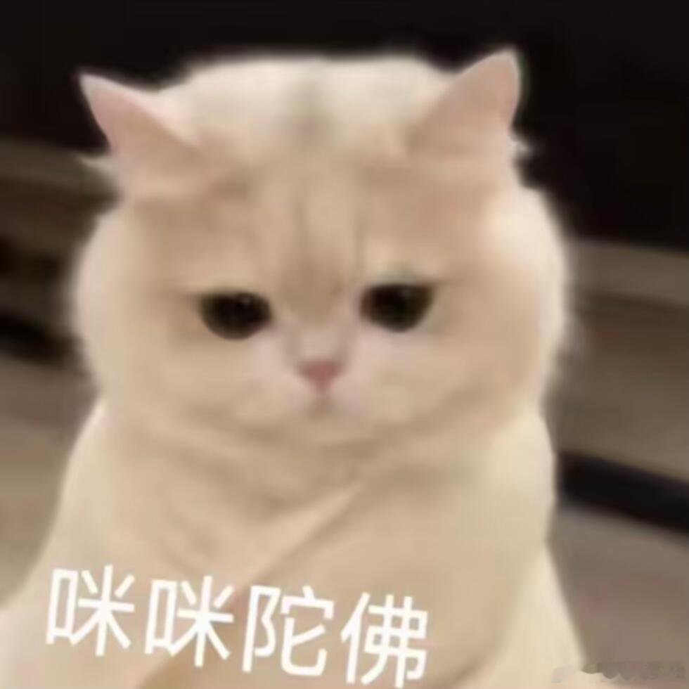 博肖同人文 有没有更新比较勤快的写手推荐，我去沾沾磁场