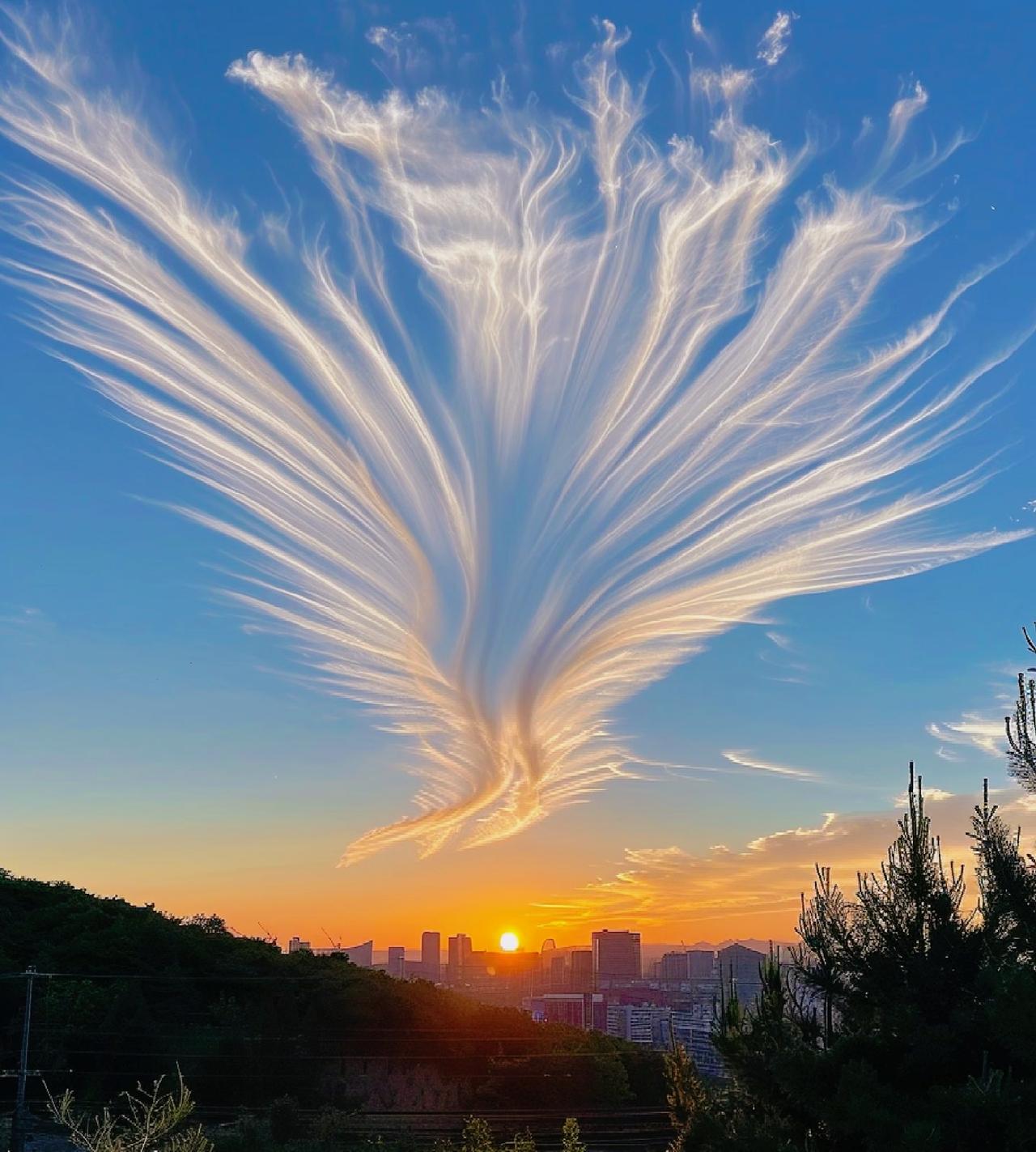 为什么《金瓶梅》里的人都像疯了一样纵欲？
是一群注定没有未来的人，在沉没前的最后