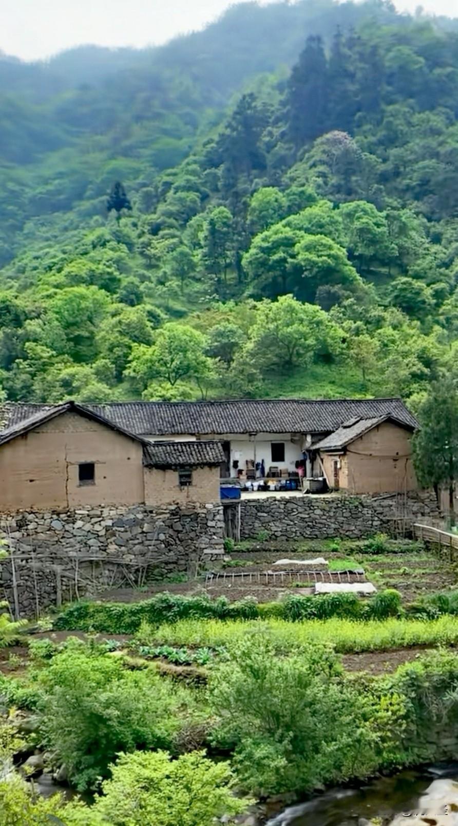 看到这张乡村美图，我直接被美晕！一座大山巍峨矗立，像个沉默的守护者，给乡村添了份