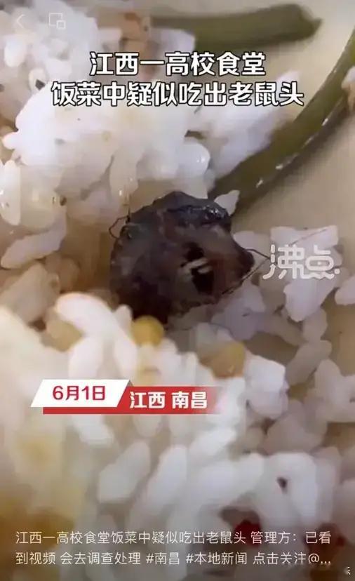 新大鹿合体 想必有一条脍炙人口的成语“指鹿为马”，好多的人们都非常的熟悉的，本来