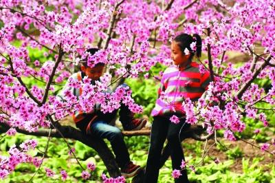 踏青赏花春意浓，邂逅一场浪漫的春日盛宴

“春风如醇酒，著物物不知。”当第一缕春