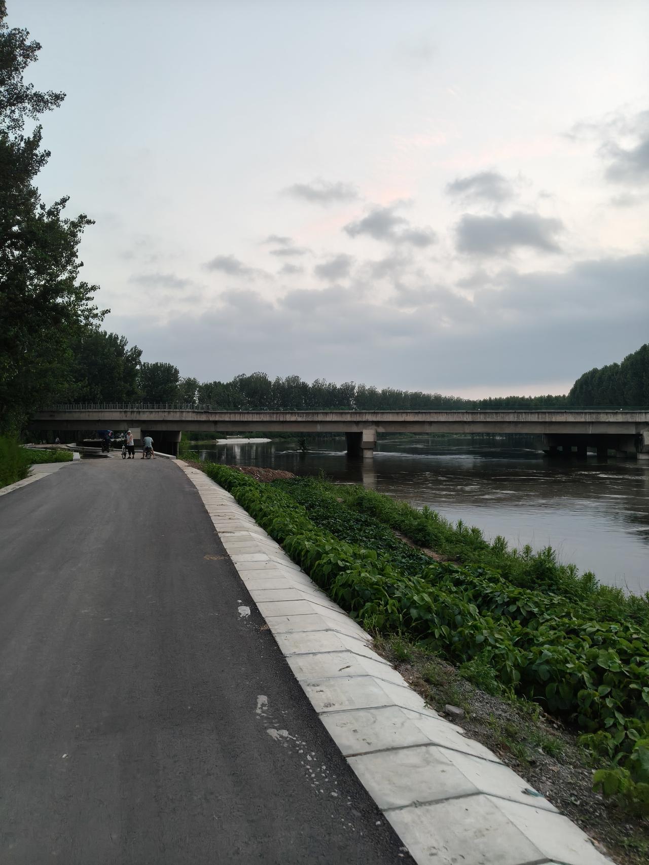 这是天津市宝坻区北部乡镇蓟运河河道的真实情况，受前两天雷雨大风的影响，蓟运河水位