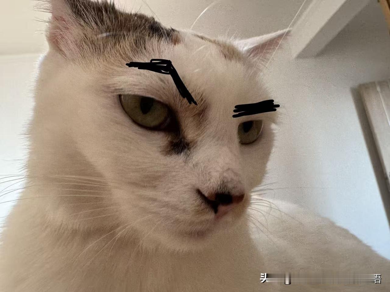 今年春天最想实现的心愿我家女明星！