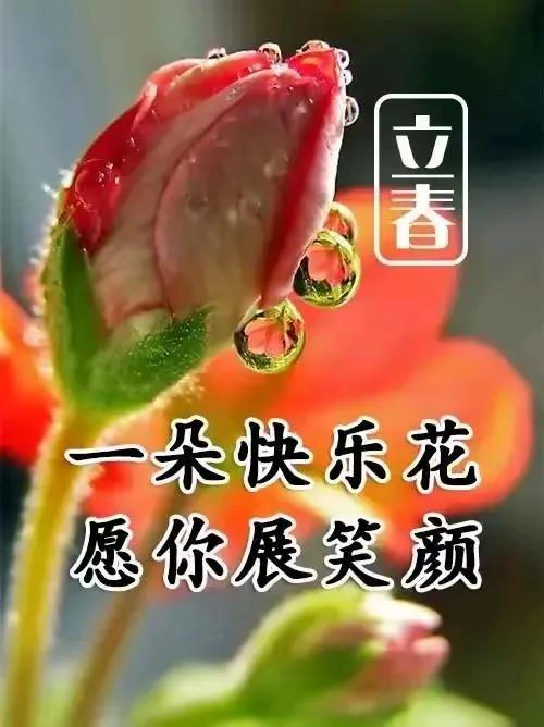 《春启新程，福满人间》
 
立春已至，愿你带着冬日的沉淀，奔赴春天的希望，只等春