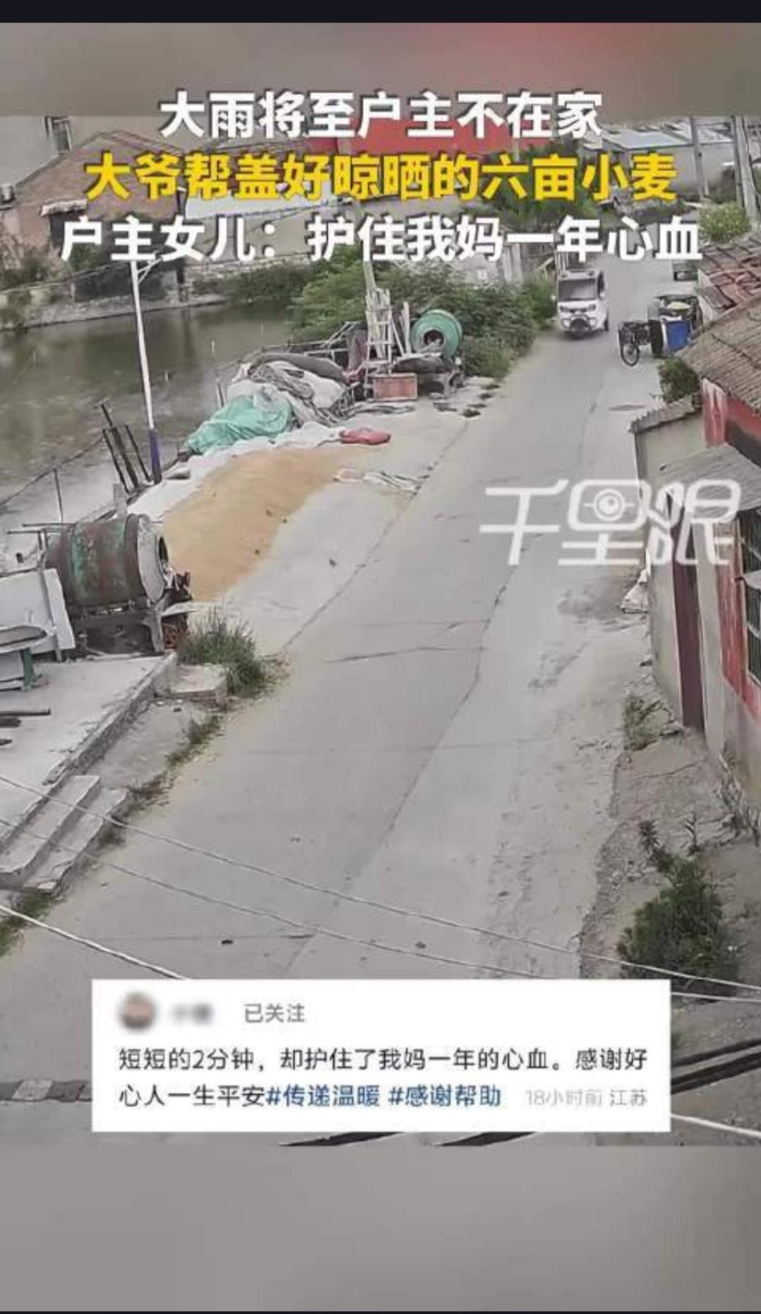 暴雨将至，路边近3000公斤小麦无人看管，农妇心急如焚，结果却让人暖心不已！
近