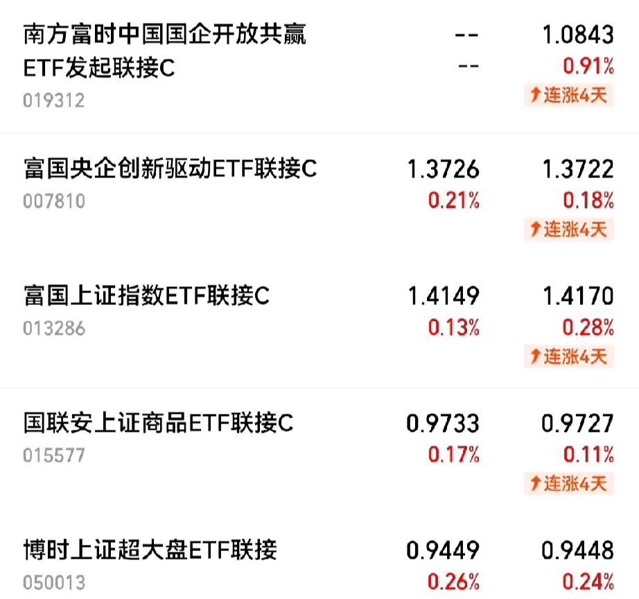 这些基金上国企、央企类基金，其中国企共赢ETF看不到持仓股，最近涨得最好。