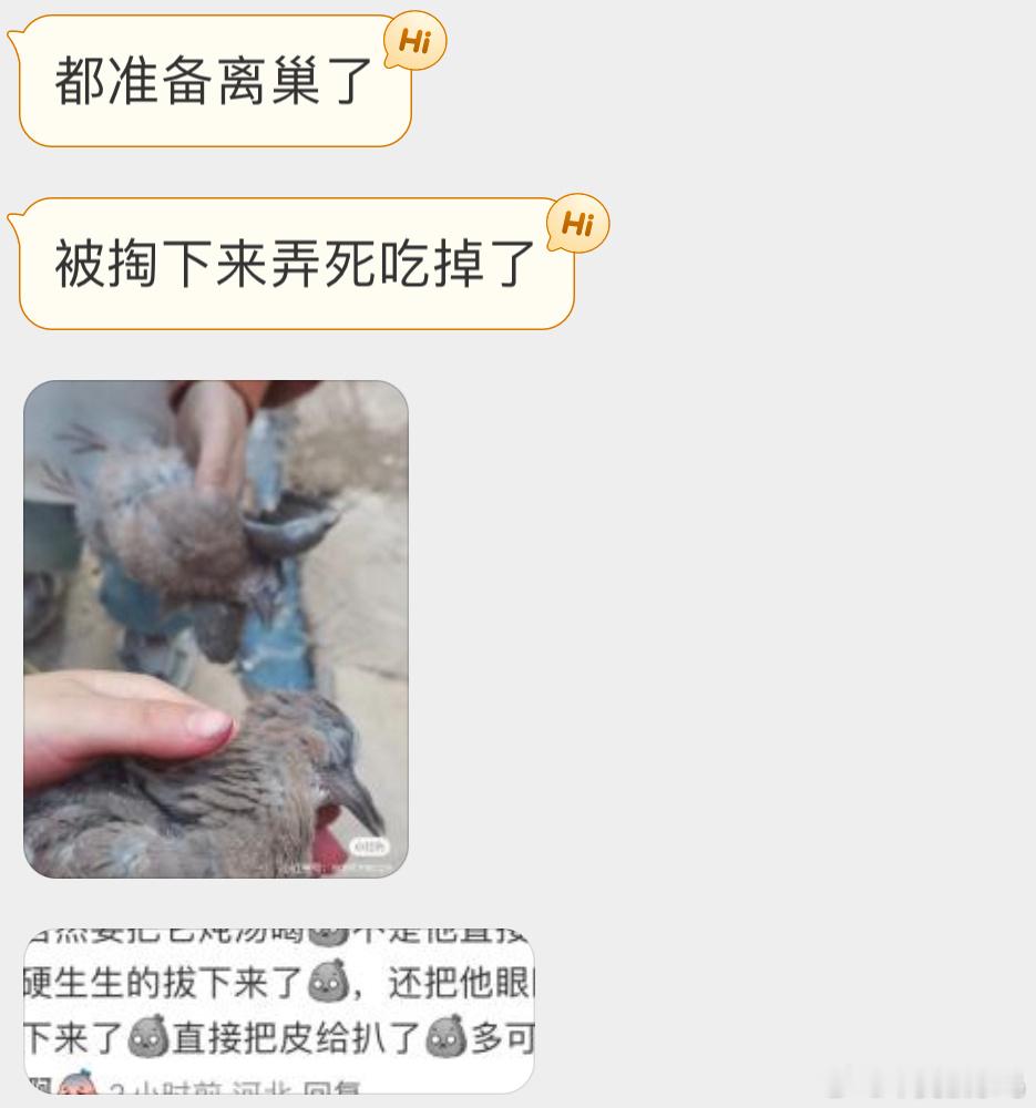 ？？？这年头还有茹毛饮血野人？ 野生动物怎么能随便吃啊！ ​​​