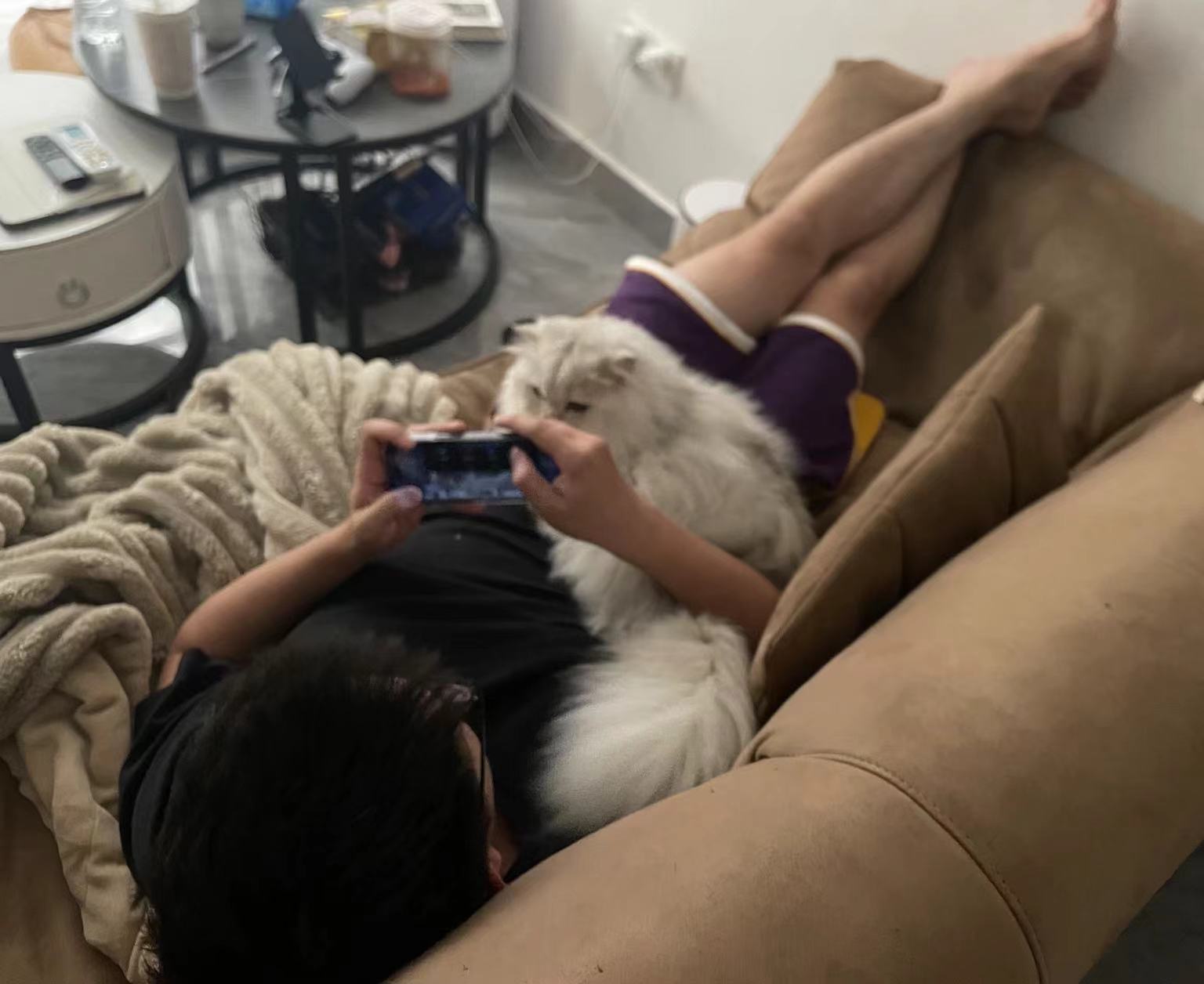 《父慈女孝》#辣椒家新家回访##银渐层##英国长毛猫# ​​​