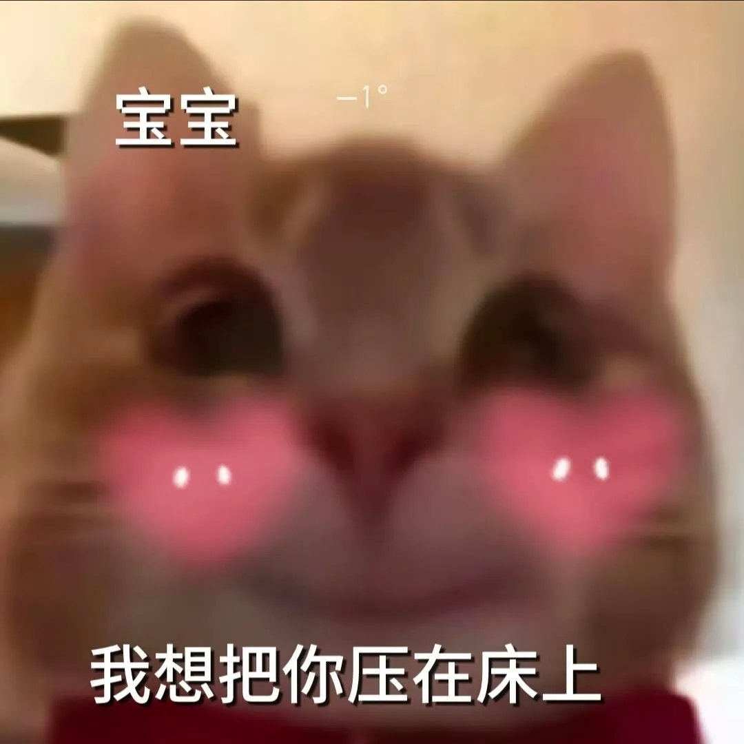 聊天经常能用的的表情包 ​​​