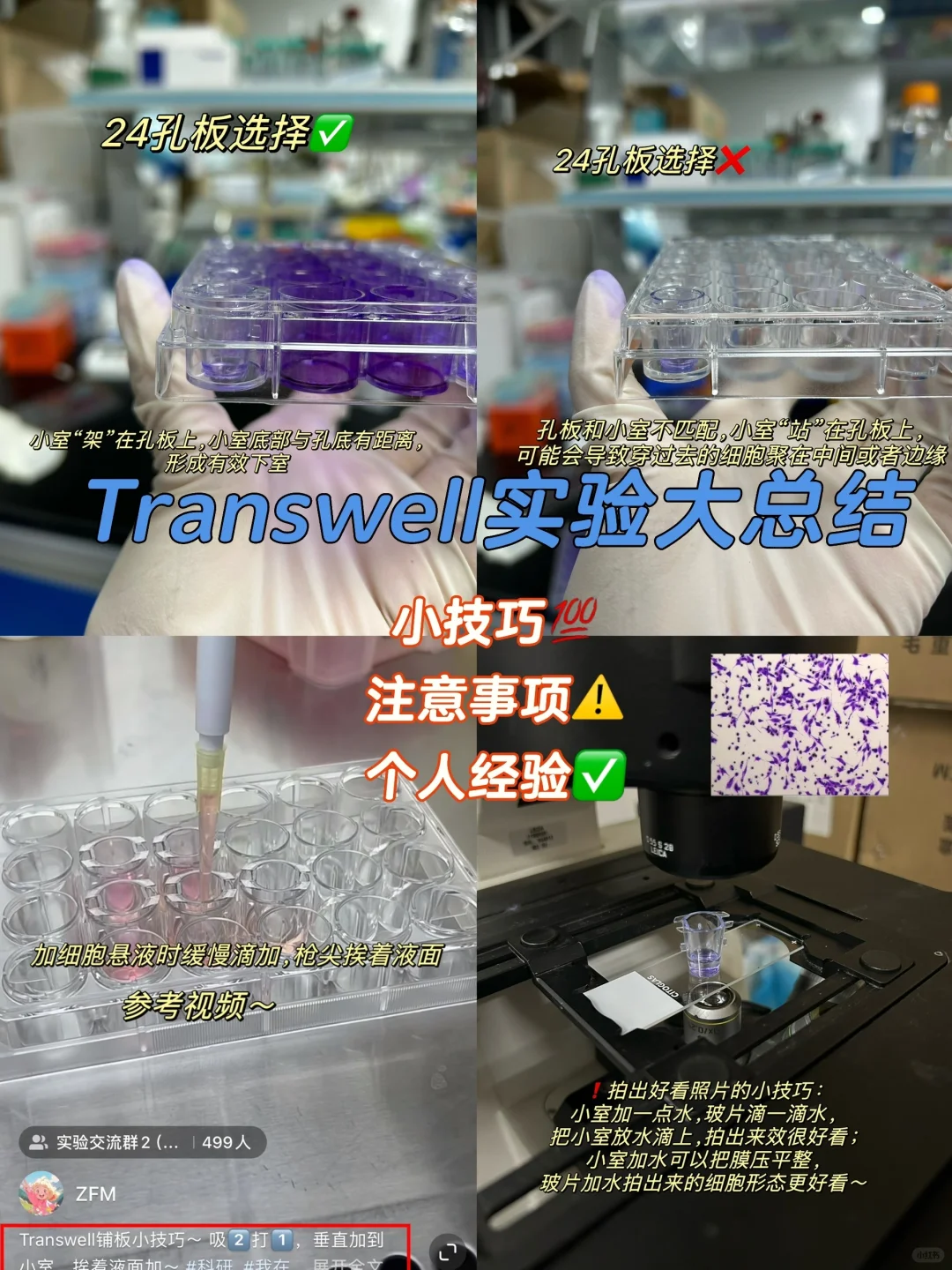 五年Transwell实验经验总结～（码住❗）